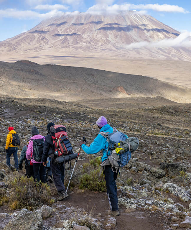 77����-ר������ָ��������ƽ̨